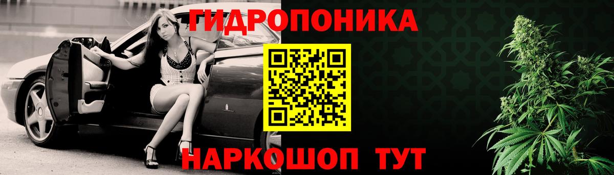 Канабис сатива Химки
